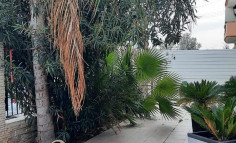 3 beds house for sale in Makedonitissa