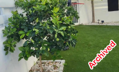 3 bedroom house 360 m2 for sale in Strovolos