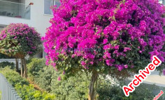 Beautiful 1 bed apartment for sale in Kato Polemidia