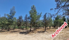 Spacious 3 beds apartment for sale in Latsia