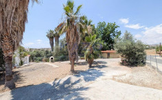 Four-bedroom ground floor detached house in Anarita, Paphos 