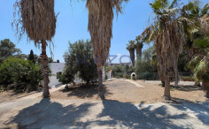 Four-bedroom ground floor detached house in Anarita, Paphos 
