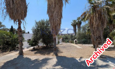Four-bedroom ground floor detached house in Anarita, Paphos 
