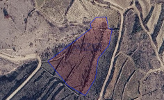 Large 8027m2 field for sale in Vasa Koilaniou (landlocked) , Limassol