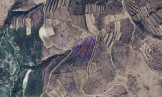 Large 8027m2 field for sale in Vasa Koilaniou (landlocked) , Limassol