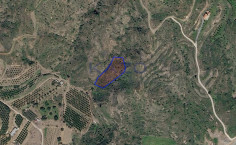 Large Eptagonia field plot for sale 3345m2 (landlocked) , Limassol