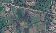 Large 7400 m2 field for sale in Paramali (landlocked) , Limassol