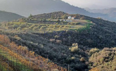 Large 8383m2 field for sale in Kellaki village , Limassol
