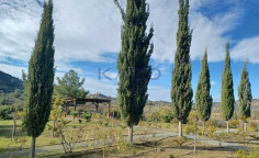 Large 8383m2 field for sale in Kellaki village , Limassol Large 8383m2 field for sale in Kellaki village , Limassol