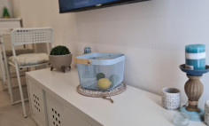 Studio for sale in Ayia Napa