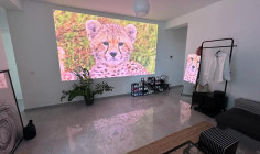 Beautiful 2 bedrooms apartment to rent in Engomi