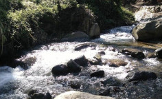 Beautiful land for sale in Kakopetria, Nicosia