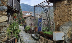 Beautiful land for sale in Kakopetria, Nicosia