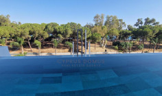 For rent 2 bedroom seafront apartment in Germasogeia For rent 2 bedroom seafront apartment in Germasogeia