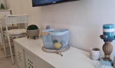 2 bedroom apartment for sale in Ayia Napa