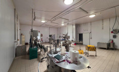 Commercial for sale in Alampra