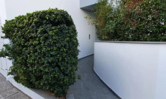 3 bedroom apartment to rent in Ayios Andreas 3 bedroom apartment to rent in Ayios Andreas