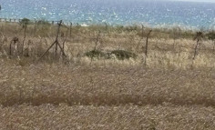 Land 429 m2 for sale in Agia Thekla, Famagusta Land 429 m2 for sale in Agia Thekla, Famagusta