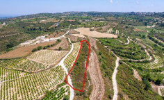 Agricultural field in Kathikas, Paphos Agricultural field in Kathikas, Paphos