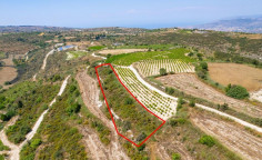 Agricultural field in Kathikas, Paphos 