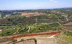 Agricultural field in Kathikas, Paphos Agricultural field in Kathikas, Paphos