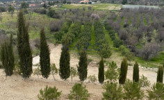 Large 4060m2 field for sale in Limnatis , Limassol