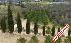 Large 4060m2 field for sale in Limnatis , Limassol