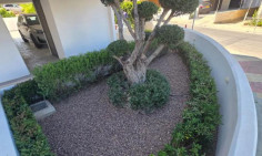 Large 2 bedroom apartment to rent in Strovolos Large 2 bedroom apartment to rent in Strovolos