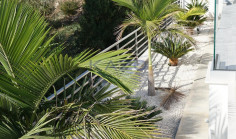 Spacious furnished villa with pool in Episkopi 