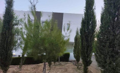 1 bedroom apartment to rent in Makedonitissa