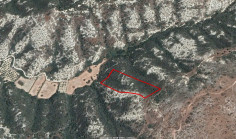 Land 11873 m2 for sale in Pissouri, Limassol