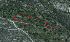 (agricultural) in Monagroulli, Limassol for sale , Limassol