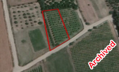 (agricultural) in Kolossi, Limassol for sale , Limassol