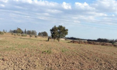 Land for sale in Alaminos, Larnaca