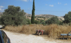 (agricultural) in Alethriko, Larnaca for sale , Larnaca