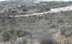 (commercial) in Pentakomo, Limassol for sale 