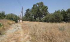 (commercial) in Ypsonas, Limassol for sale 
