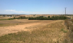 (agricultural) in Deftera, Nicosia for sale , Nicosia