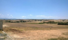 (agricultural) in Deftera, Nicosia for sale , Nicosia