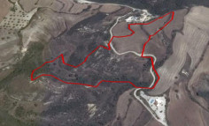 Land (agricultural) in Goudi, Paphos for sale 