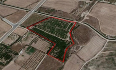 (agricultural) in Geroskipou, Paphos for sale , Paphos