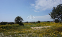 Lovely residential in Kolossi, Limassol