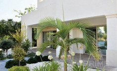 6 bedroom villa for sale in Chloraka