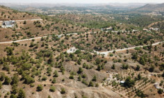 Plot 112 in Kornos , Larnaca