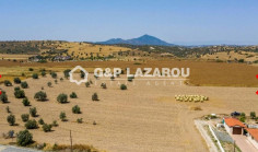 Large residential for sale in Alaminos, Larnaca