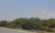 Residential 5830 m2 for sale in Mazotos, Larnaca