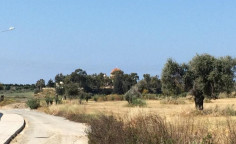 Luxury residential for sale in Mazotos, Larnaca
