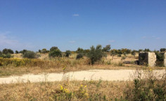 Luxury residential for sale in Mazotos, Larnaca