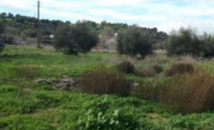 Residential 654 m2 for sale in Mazotos, Larnaca