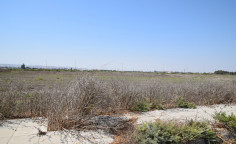 Residential 1000 m2 for sale in Perivolia, Larnaca